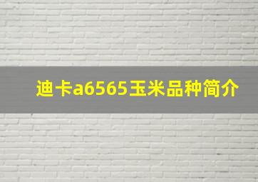 迪卡a6565玉米品种简介