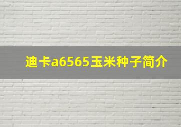 迪卡a6565玉米种子简介