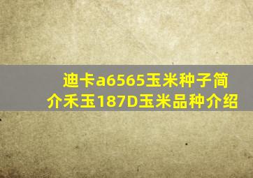 迪卡a6565玉米种子简介禾玉187D玉米品种介绍