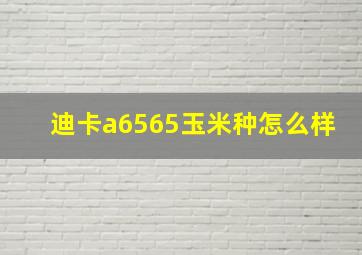 迪卡a6565玉米种怎么样