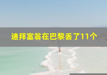 迪拜富翁在巴黎丢了11个