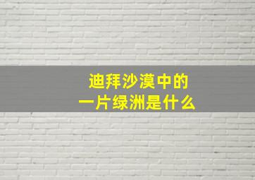 迪拜沙漠中的一片绿洲是什么