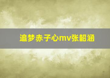 追梦赤子心mv张韶涵