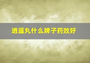 逍遥丸什么牌子药效好