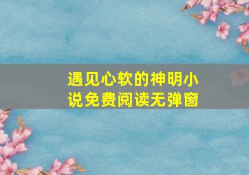 遇见心软的神明小说免费阅读无弹窗