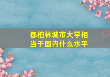 都柏林城市大学相当于国内什么水平