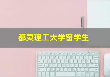 都灵理工大学留学生