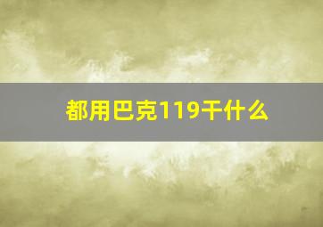 都用巴克119干什么