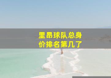 里昂球队总身价排名第几了