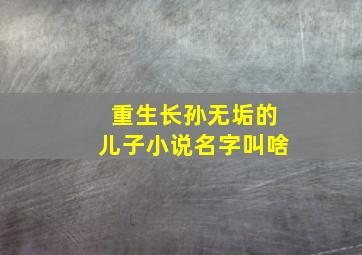 重生长孙无垢的儿子小说名字叫啥