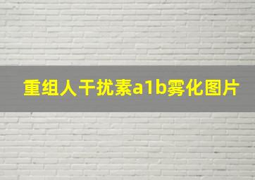 重组人干扰素a1b雾化图片