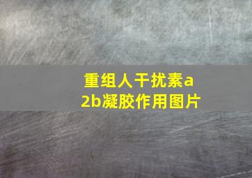 重组人干扰素a2b凝胶作用图片