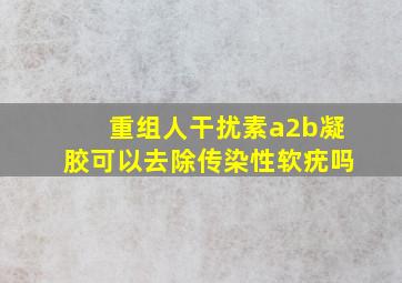 重组人干扰素a2b凝胶可以去除传染性软疣吗