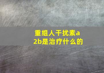 重组人干扰素a2b是治疗什么的