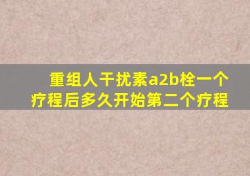 重组人干扰素a2b栓一个疗程后多久开始第二个疗程