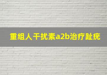 重组人干扰素a2b治疗趾疣