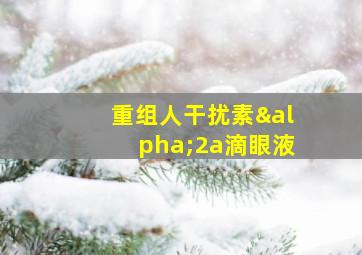 重组人干扰素α2a滴眼液