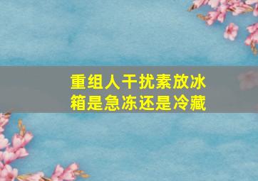 重组人干扰素放冰箱是急冻还是冷藏