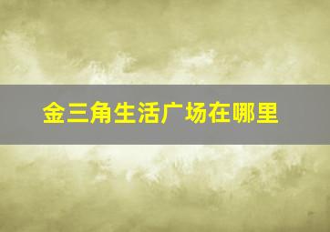 金三角生活广场在哪里