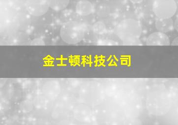 金士顿科技公司