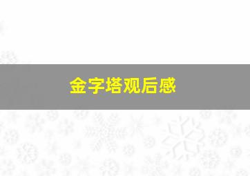 金字塔观后感