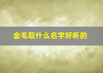 金毛取什么名字好听的