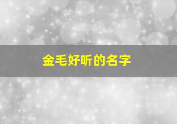 金毛好听的名字