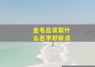 金毛应该取什么名字好听点