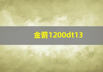 金箭1200dt13