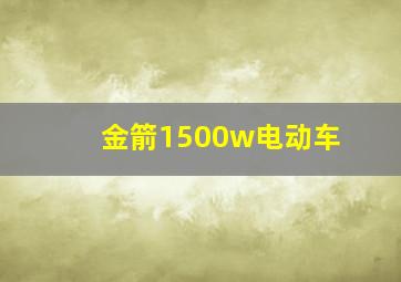 金箭1500w电动车