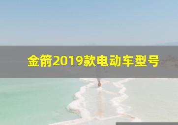 金箭2019款电动车型号