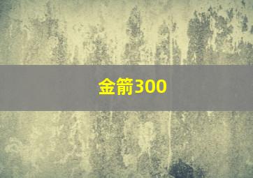 金箭300