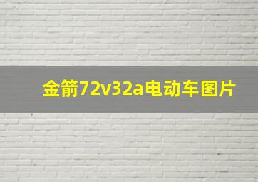 金箭72v32a电动车图片