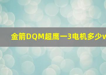 金箭DQM超鹰一3电机多少w