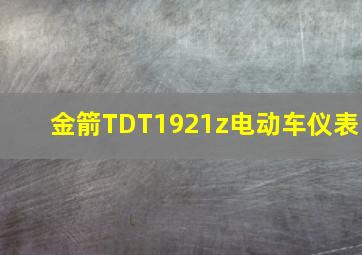 金箭TDT1921z电动车仪表