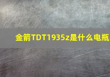 金箭TDT1935z是什么电瓶