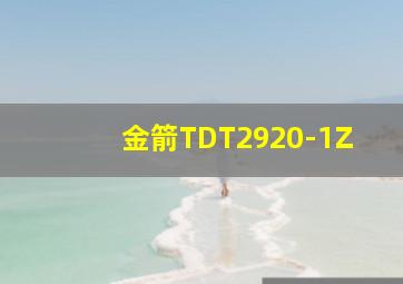 金箭TDT2920-1Z