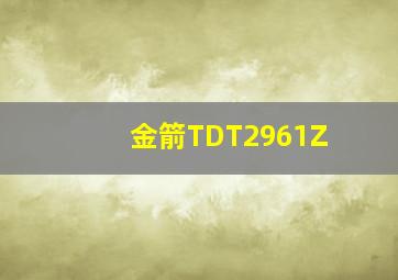 金箭TDT2961Z