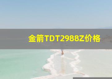 金箭TDT2988Z价格