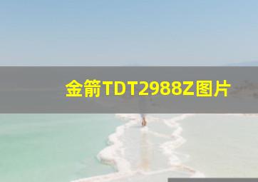 金箭TDT2988Z图片