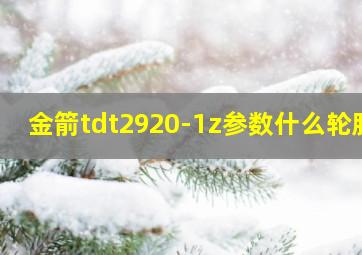 金箭tdt2920-1z参数什么轮胎