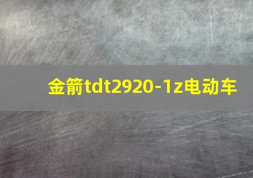 金箭tdt2920-1z电动车