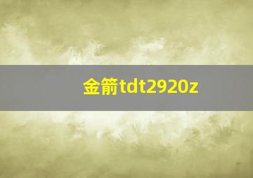 金箭tdt2920z