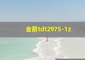 金箭tdt2975-1z