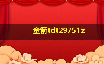 金箭tdt29751z