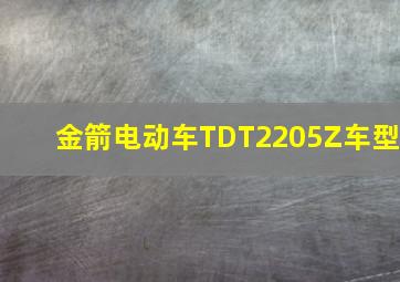 金箭电动车TDT2205Z车型