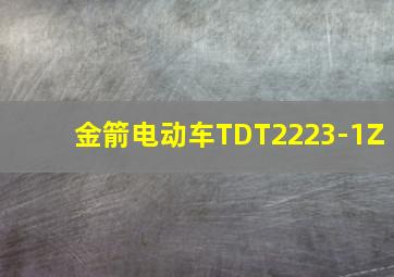 金箭电动车TDT2223-1Z