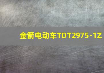 金箭电动车TDT2975-1Z