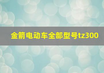 金箭电动车全部型号tz300