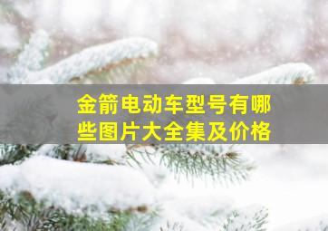 金箭电动车型号有哪些图片大全集及价格